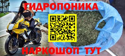 МДПВ Аша